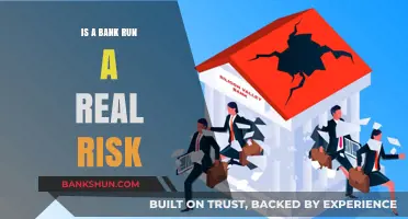 Is a Bank Run a Real Risk? Understanding Financial Stability