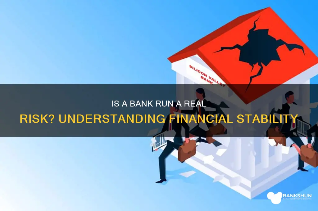 is a bank run a real risk