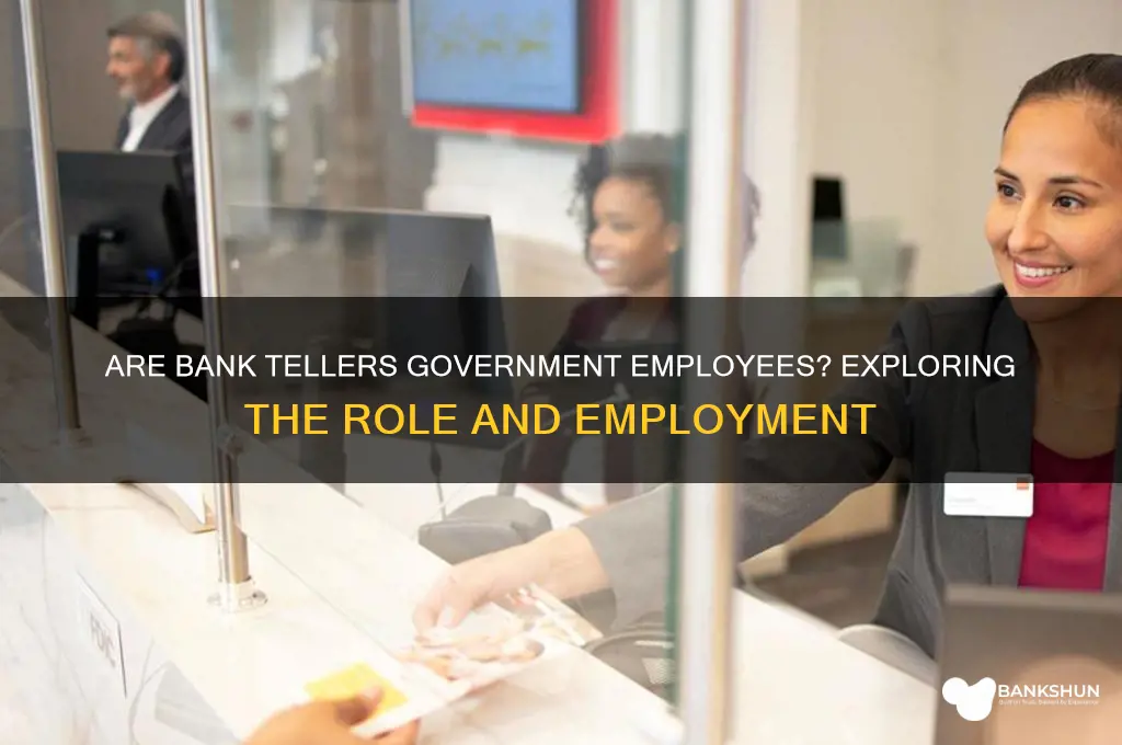is a bank teller a government job