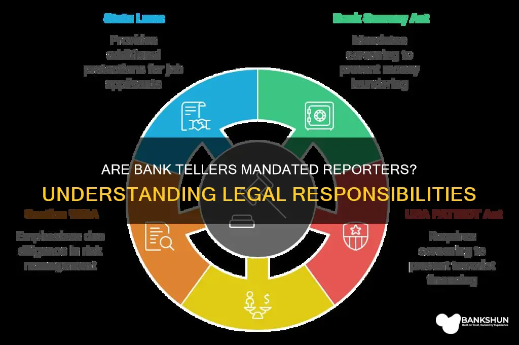 is a bank teller a mandated reporter