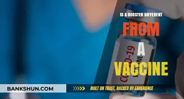 Boosters vs. Vaccines: Understanding the Key Differences and Similarities