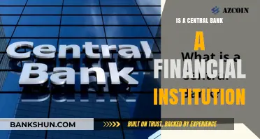 Is a Central Bank a Financial Institution? Exploring Its Role and Functions