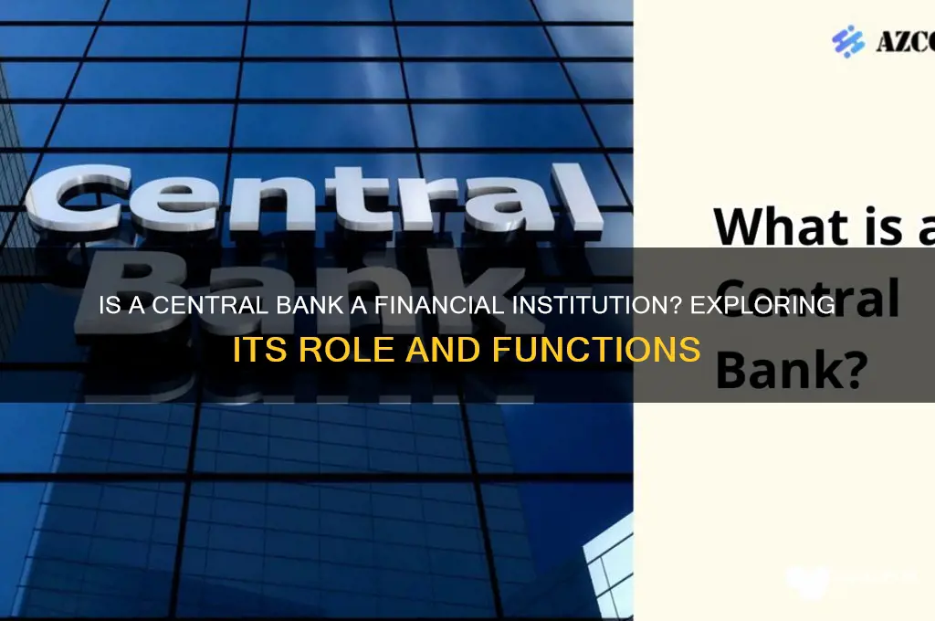 is a central bank a financial institution