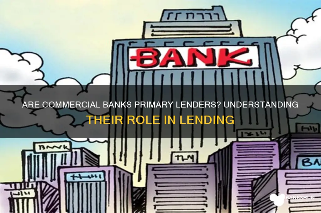 is a commercial bank a primary lender