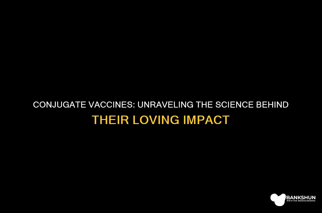 is a conjugate vaccine a love vaccine
