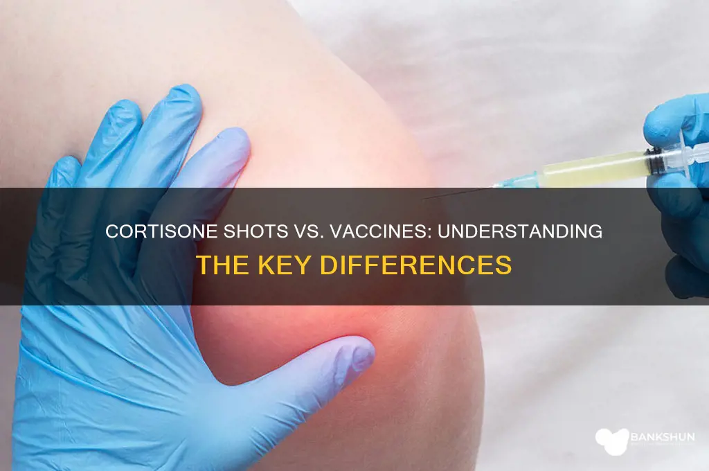 is a cortisone shot considered a vaccine