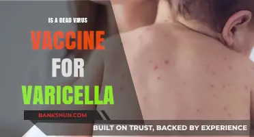 Is the Dead Virus Varicella Vaccine Safe and Effective?