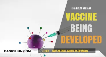 Delta Variant Vaccine Development: Current Status and Future Prospects