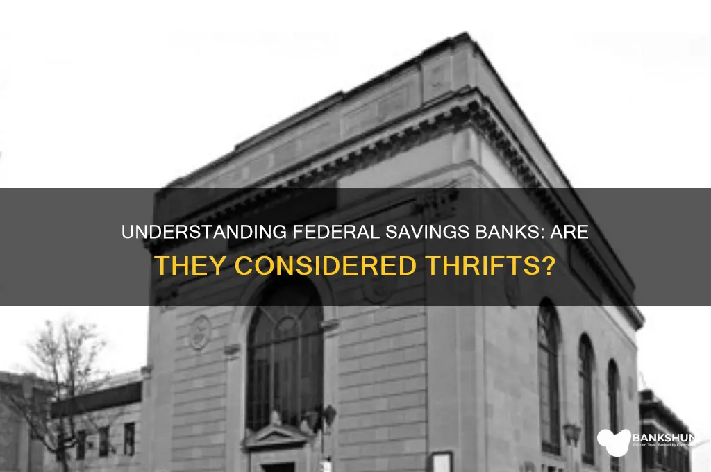 is a federal savings bank a thrift