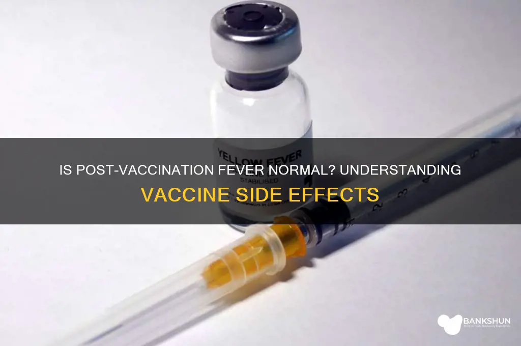 is a fever after the vaccine normal