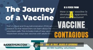 Vaccine-Induced Fevers: Are They Contagious? Debunking Common Myths