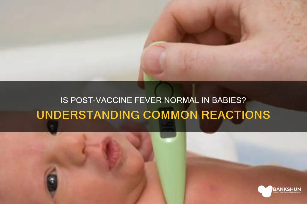 is a fever normal after baby vaccines