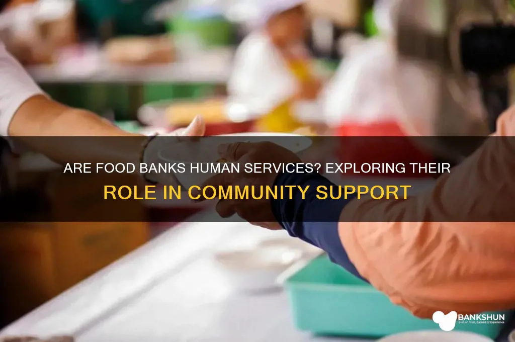 is a food bank concidered human servis