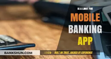 Exploring Mobile Banking App Limitations: Challenges and Future Innovations
