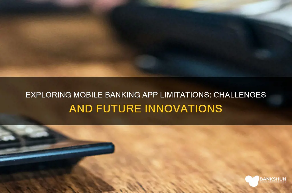 is a limit for mobile banking app