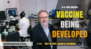 Lyme Disease Vaccine Development: Current Progress and Future Prospects