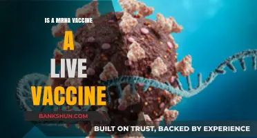 Is mRNA a Live Vaccine? Understanding COVID-19 Vaccine Technology