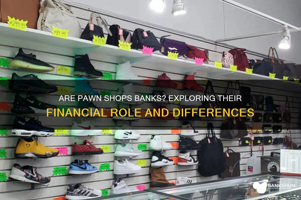 is a pawn shop considered a bank