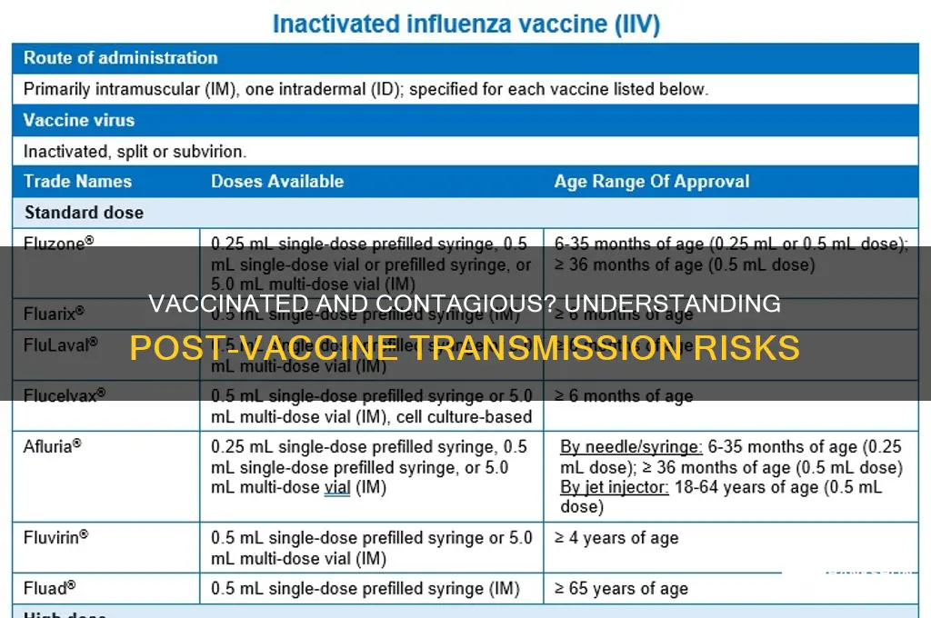 is a person contagious after the vaccine