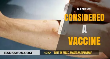Is the PPD Shot a Vaccine? Understanding Tuberculosis Testing