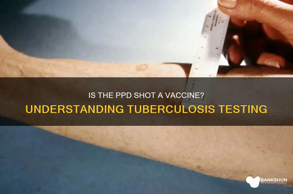 is a ppd shot considered a vaccine