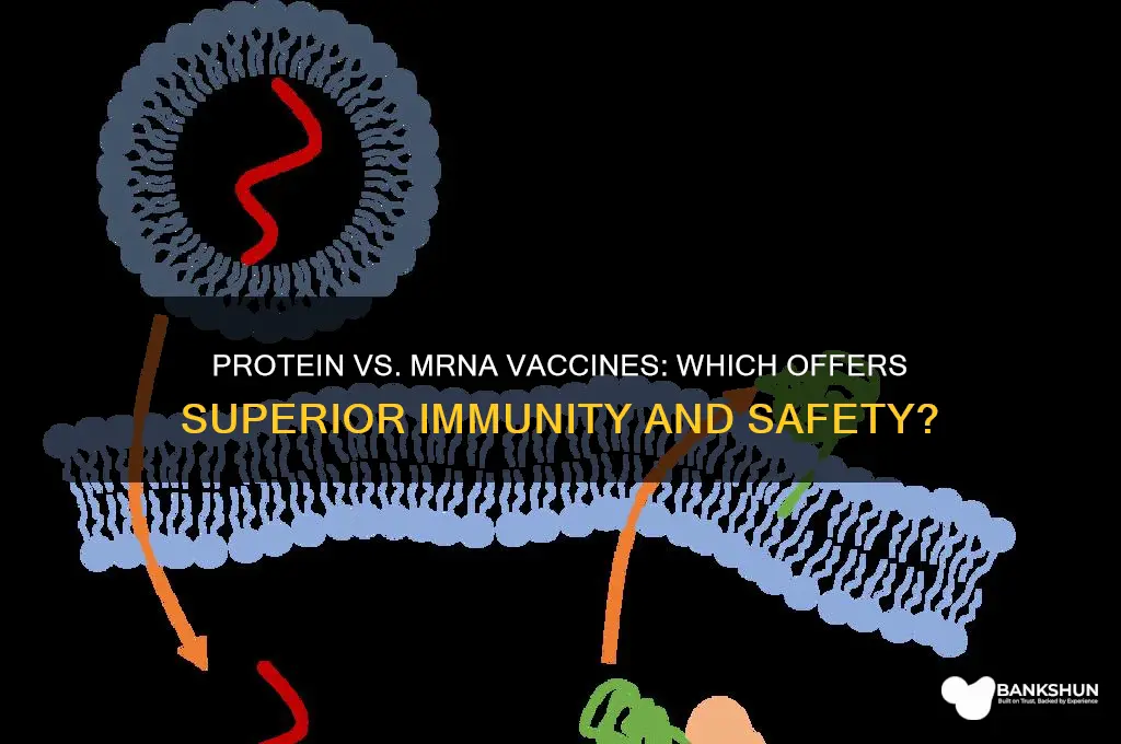 is a protein vaccine better than mrna