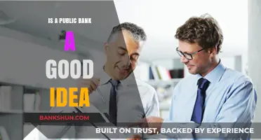 Exploring the Pros and Cons of Establishing a Public Bank