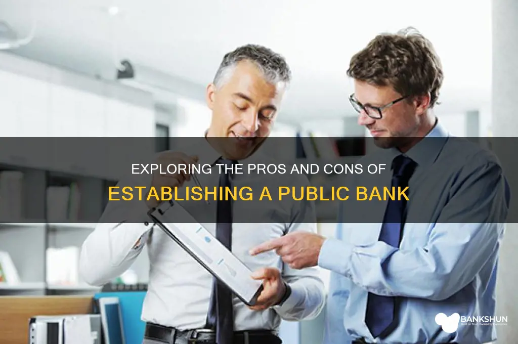 is a public bank a good idea