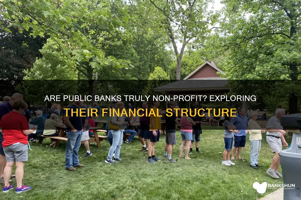 is a public bank a non rofit