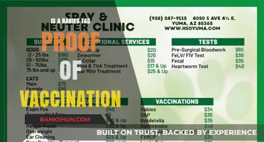 Rabies Tag: Does It Confirm Your Pet's Vaccination Status?