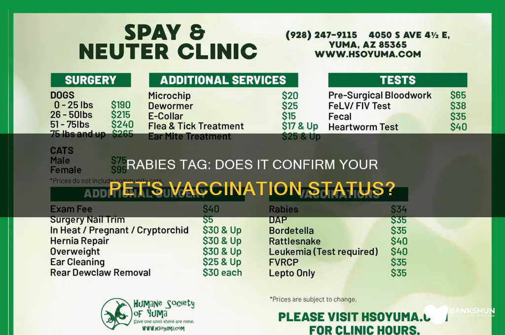 is a rabies tag proof of vaccination