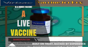 Is the Rabies Vaccine Live? Understanding Its Composition and Safety