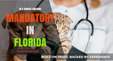 Is Rabies Vaccine Mandatory in Florida? Legal Requirements Explained