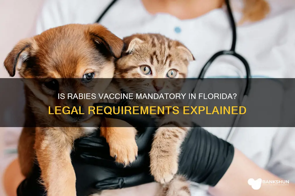 is a rabies vaccine mandatory in florida