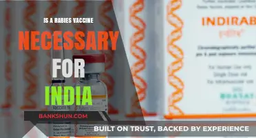 Rabies Vaccine in India: Essential Prevention or Optional Protection?