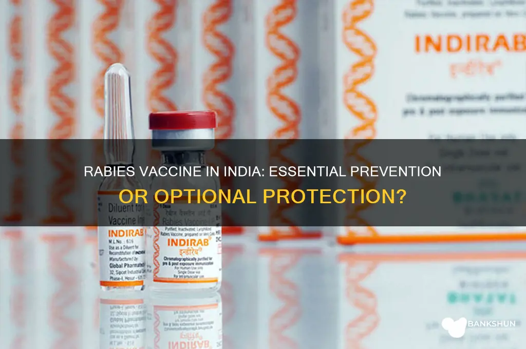 is a rabies vaccine necessary for india