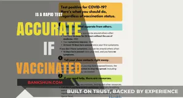 Vaccinated and Tested: Are Rapid COVID-19 Tests Still Accurate?