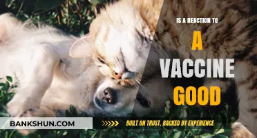 Vaccine Reactions: Understanding Why Side Effects Can Be Beneficial