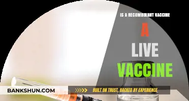 Recombinant Vaccines: Are They Live or Not? Explained Simply
