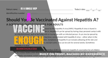 Is One Hepatitis A Vaccine Sufficient for Long-Term Immunity?