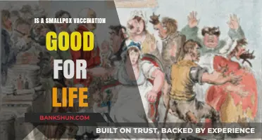 Does Smallpox Vaccination Provide Lifelong Immunity? What You Need to Know