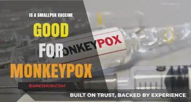 Smallpox Vaccine: Effective Defense Against Monkeypox? What You Need to Know
