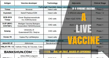 Subunit Vaccines: Are They Live or Not? Understanding the Difference