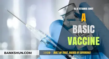 Is Tetanus Shot Essential? Understanding Its Role in Basic Vaccination