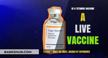 Is Tetanus Vaccine Live? Understanding Its Composition and Safety