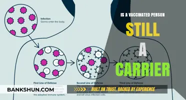 Vaccinated and Still a Carrier? Understanding Post-Vaccination Transmission Risks
