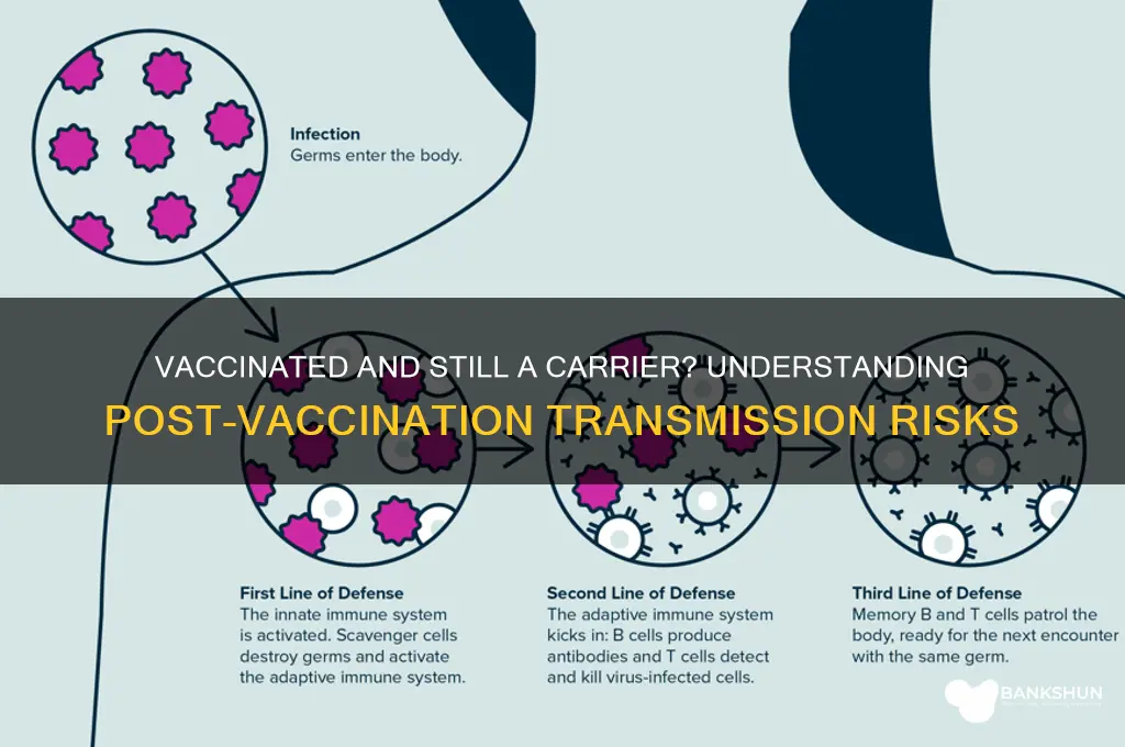 is a vaccinated person still a carrier