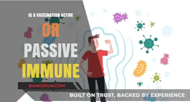 Active vs. Passive Immunity: Understanding Vaccination's Role in Immune Response