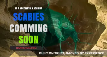 Scabies Vaccine: Is a Breakthrough Treatment on the Horizon?