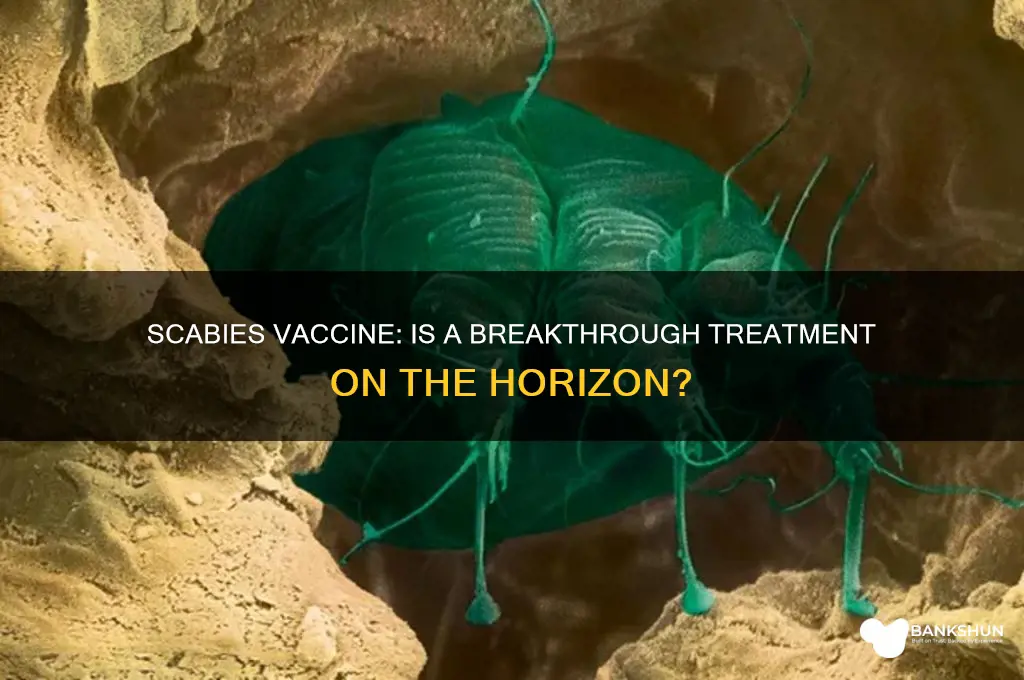 is a vaccination against scabies comming soon